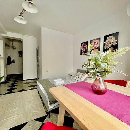 Victoriei Spacious Studio Bucharest Exterior photo